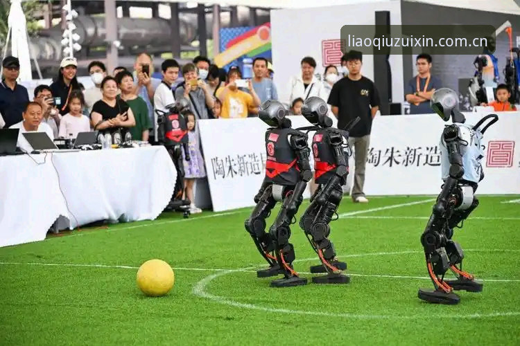 聊球全球赛事：重新定义体育迷的互动体验