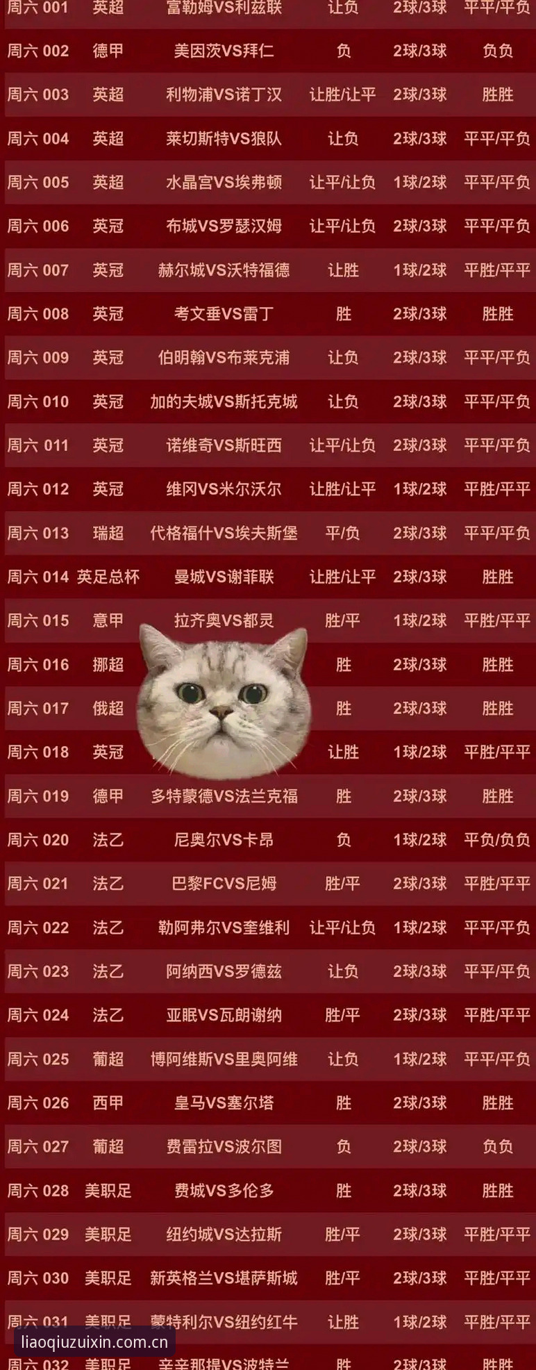 世界杯观赛签证难题实用解决指南——从聊球体育平台看约旦球迷困境